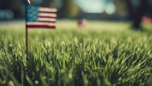 choose best lawn seed