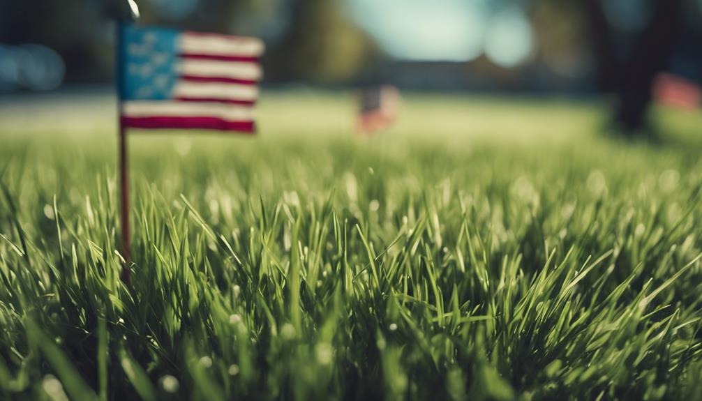 choose best lawn seed