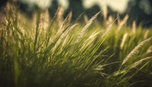distinguishing lawn weed types