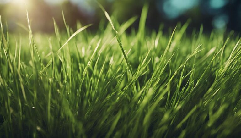 grass types in virginia