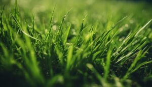 identifying and eliminating crabgrass