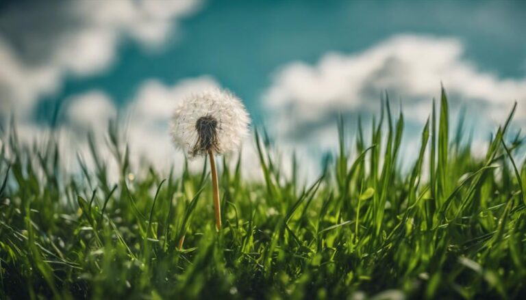 lawn weed identification guide