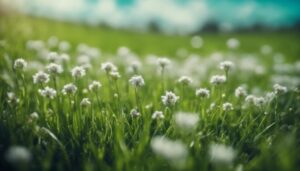 prevent weeds before spring