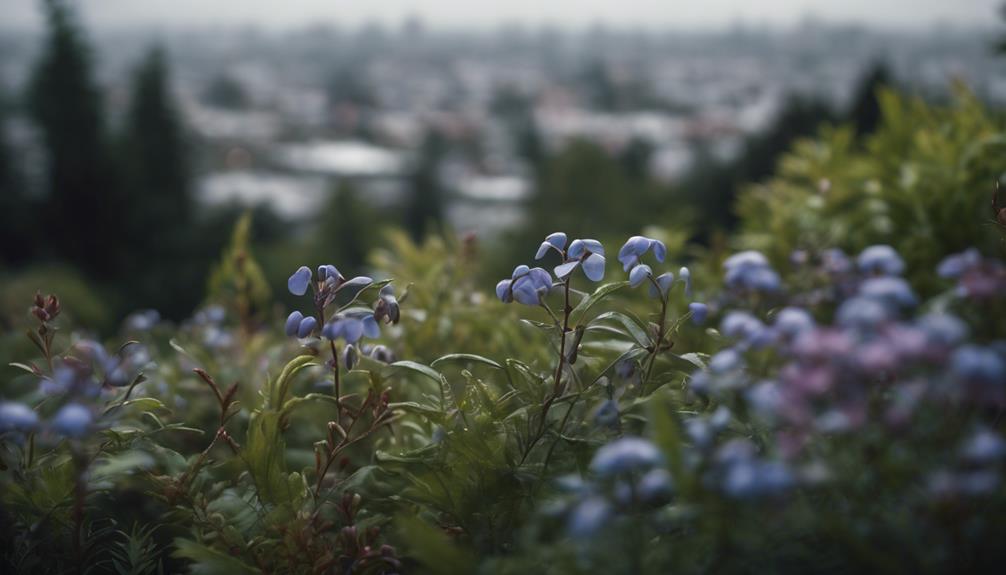 remove periwinkle from garden