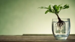 rooting hormone pros and cons